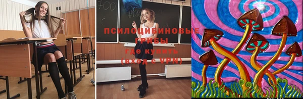 MESCALINE Богородск