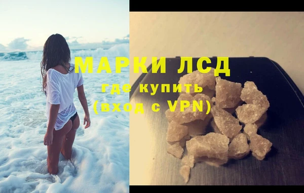 гашик Осташков